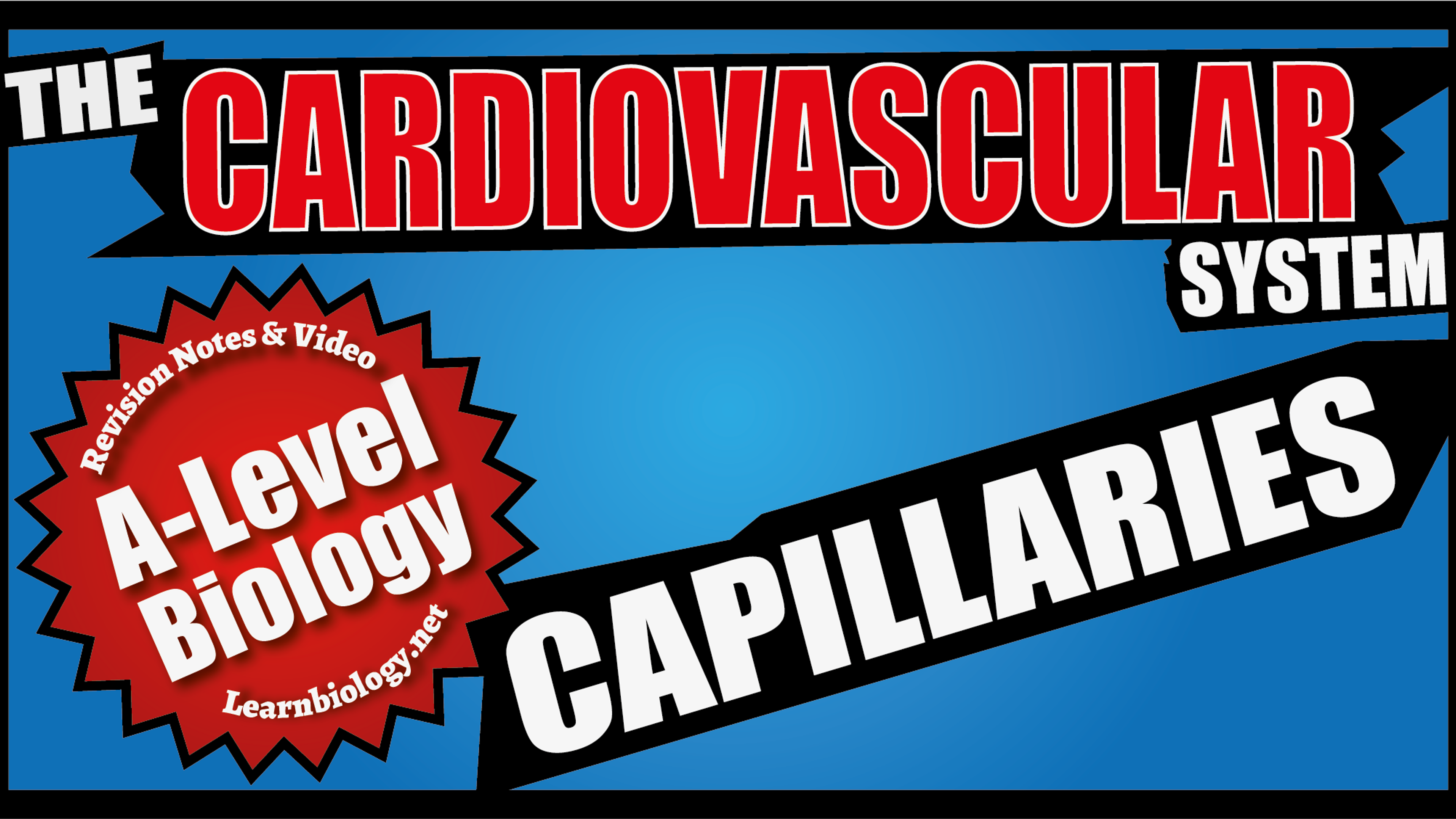 Capillaries